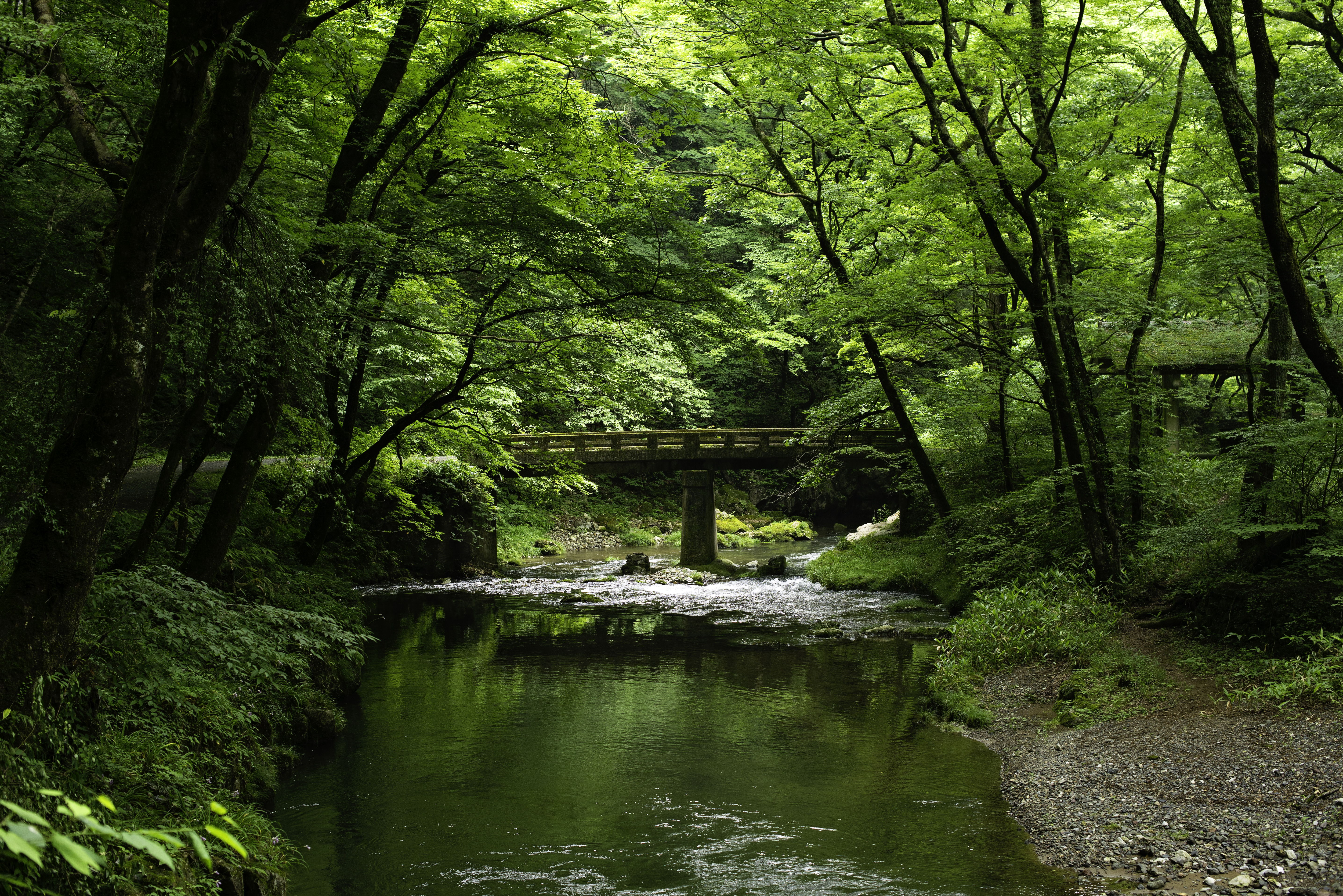 Taishaku-kyo Gorge