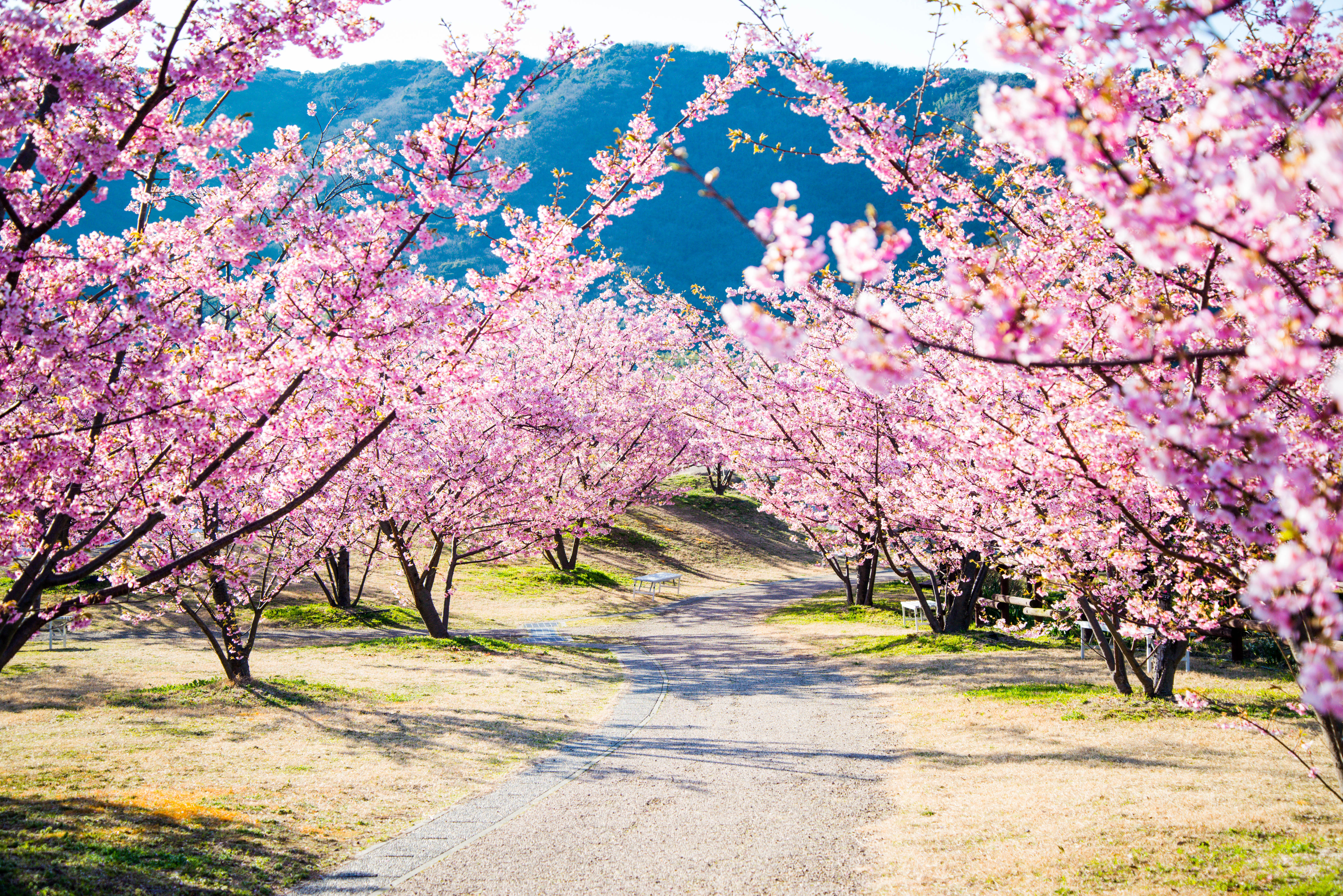 Kaminoseki Park