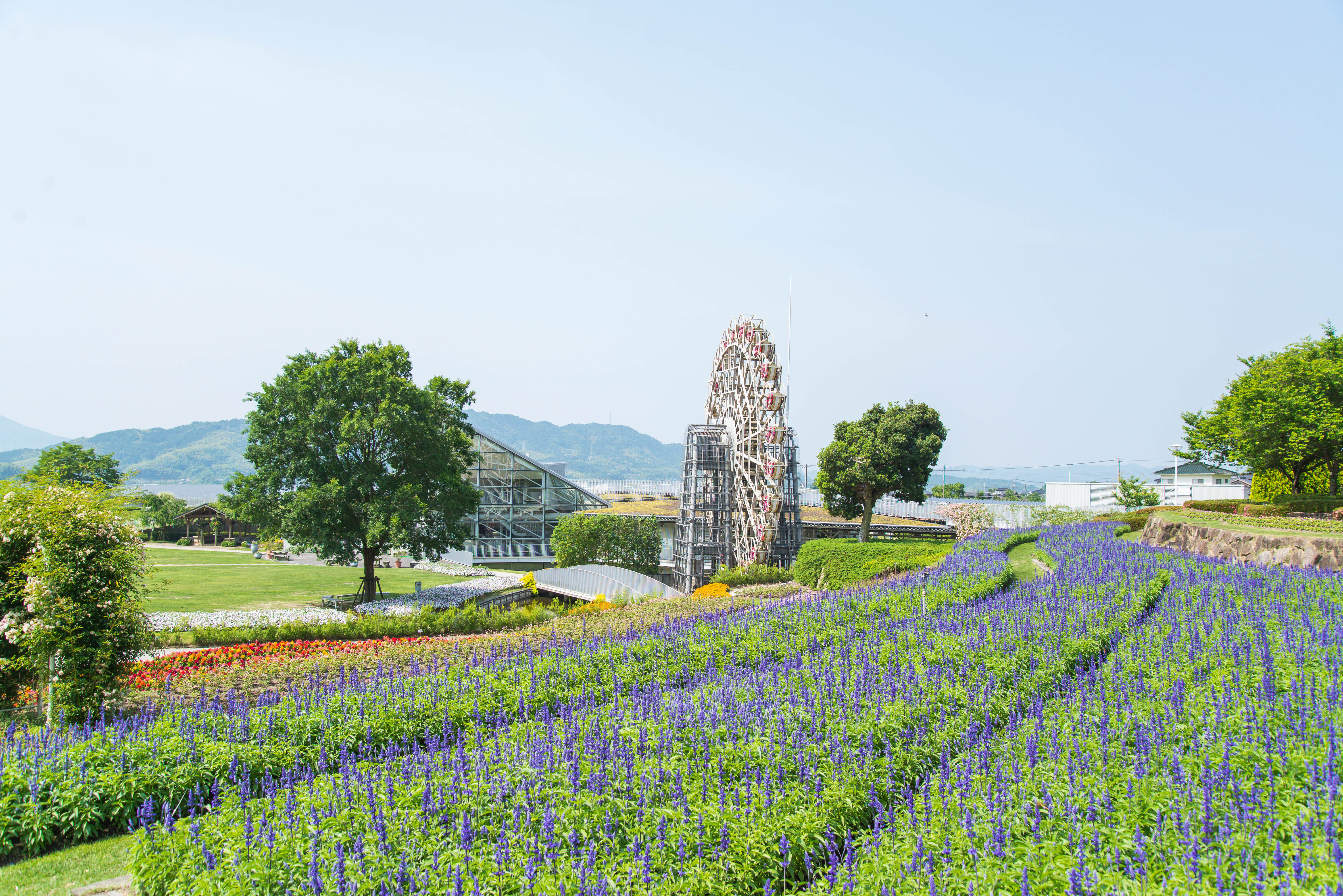 Yamaguchi Flower Land