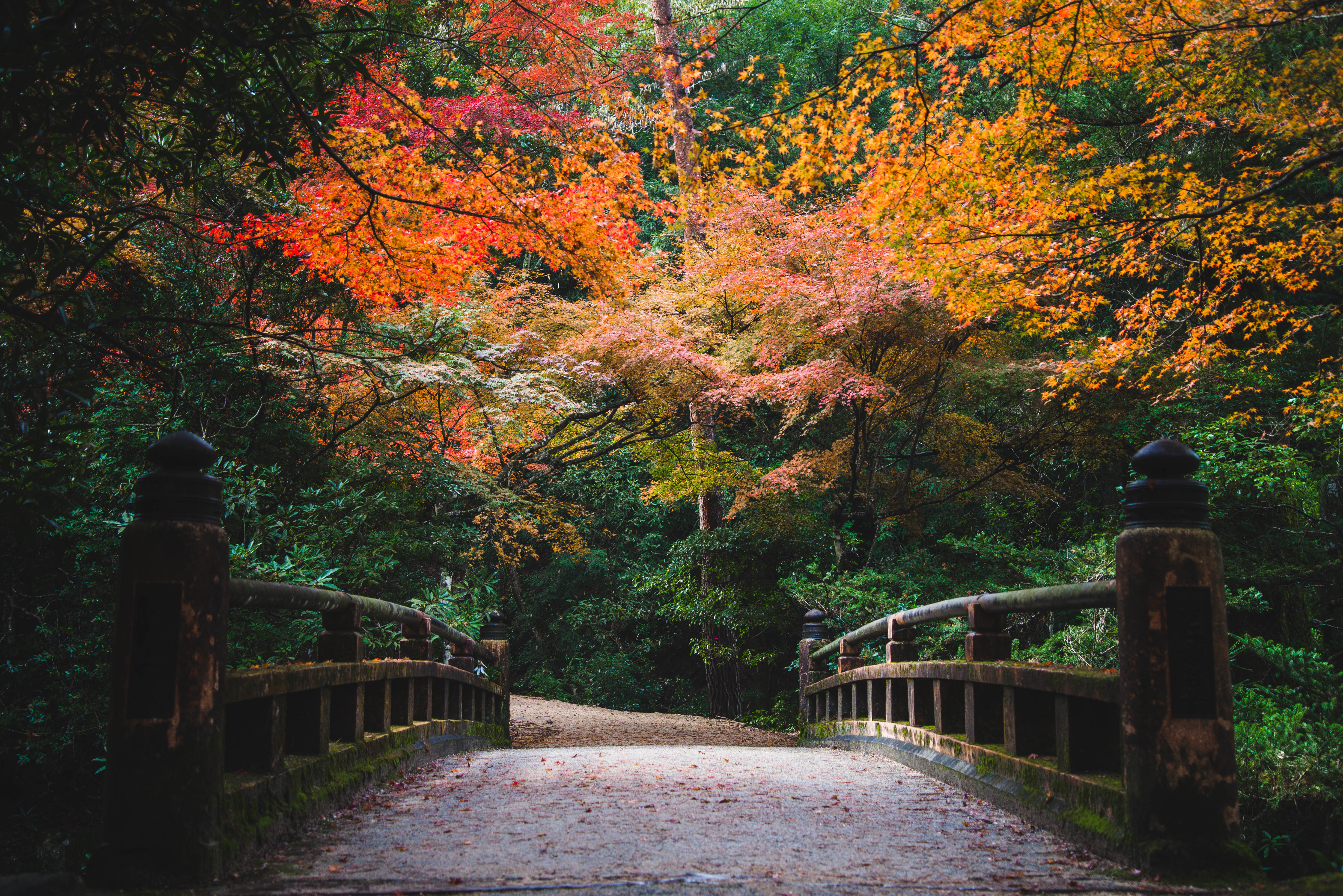 Favorite Fall Foliage Spots